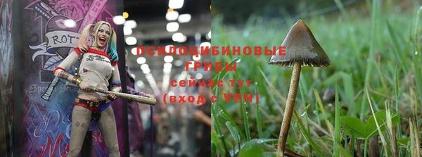 бошки Балахна