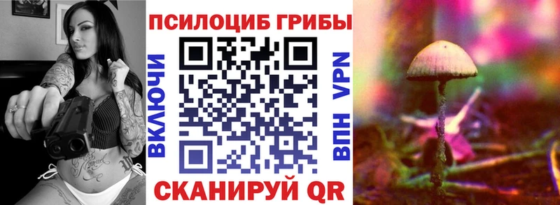 omg онион  Заозёрск  Галлюциногенные грибы мухоморы  купить  сайты 
